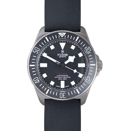 Tudor Pelagos FXD 25717N