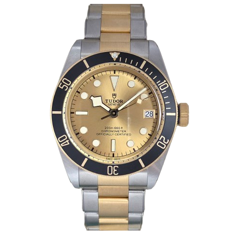 Tudor Black Bay S&G 79733N 2026 NEW